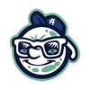 Asheville Tourists
