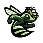 <p>Augusta GreenJackets</p>