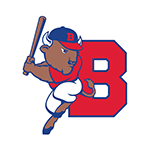 <p>Buffalo Bisons</p>