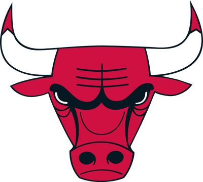 <p>Chicago Bulls</p>