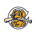 <p>Charleston RiverDogs</p>