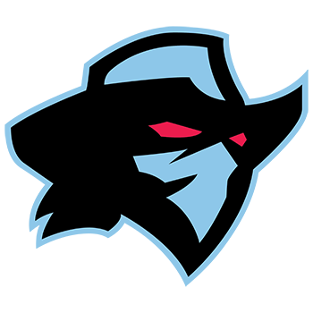 <p>Dallas Renegades</p>