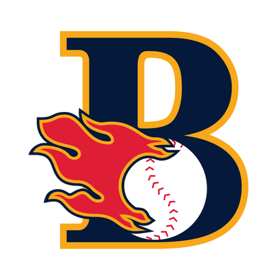 <p>Bakersfield Blaze</p>
