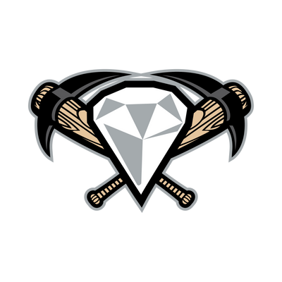 <p>West Tennessee Diamond Jaxx</p>