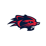 <p>New Hampshire Fisher Cats</p>