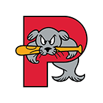 <p>Portland Sea Dogs</p>