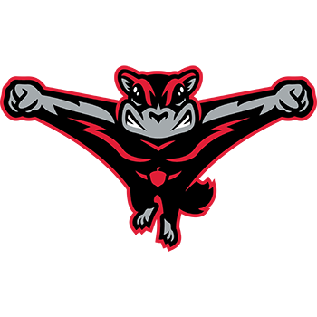 <p>Richmond Flying Squirrels</p>