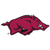 Arkansas Razorbacks
