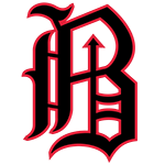 <p>Birmingham Barons</p>