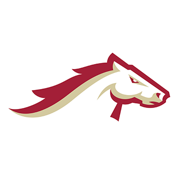 <p>Birmingham Stallions</p>