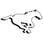 <p>Calgary Stampeders</p>