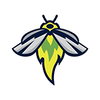 Columbia Fireflies