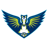Dallas Wings