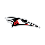 <p>Delmarva Shorebirds</p>