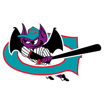 <p>Greensboro Bats</p>