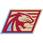 <p>Michigan Panthers</p>