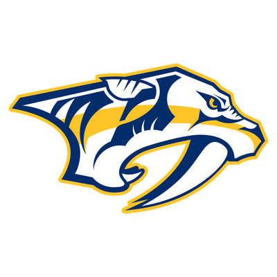 <p>Nashville Predators</p>