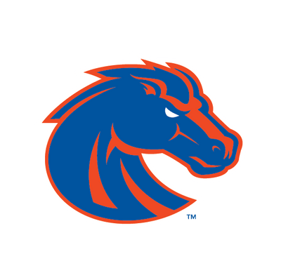 <p>Boise State Broncos</p>