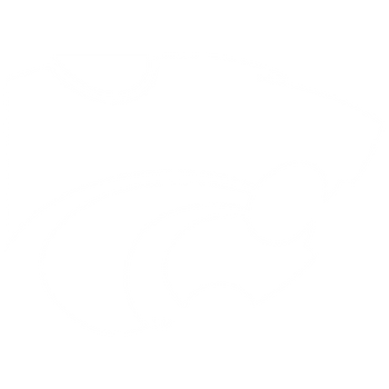 Wildcats