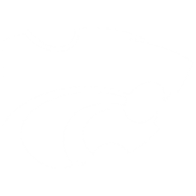 <p>Kansas State Wildcats</p>
