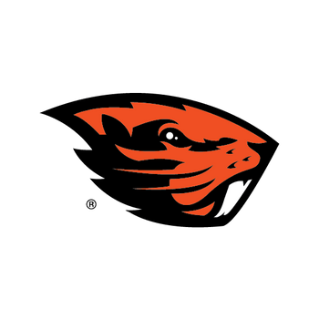 Beavers