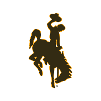 Cowboys