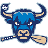 Salem RidgeYaks