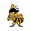 Salt Lake Bees